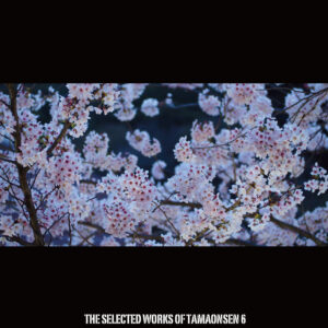 THE SELECTED WORKS OF TAMAONSEN 6 | 魂音泉